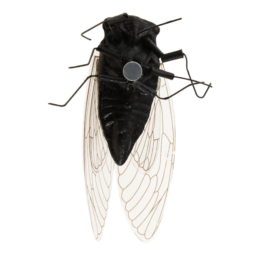 2X Clay Insect Model Fridge Ma - Art Craft Magnet ulasan dan harga