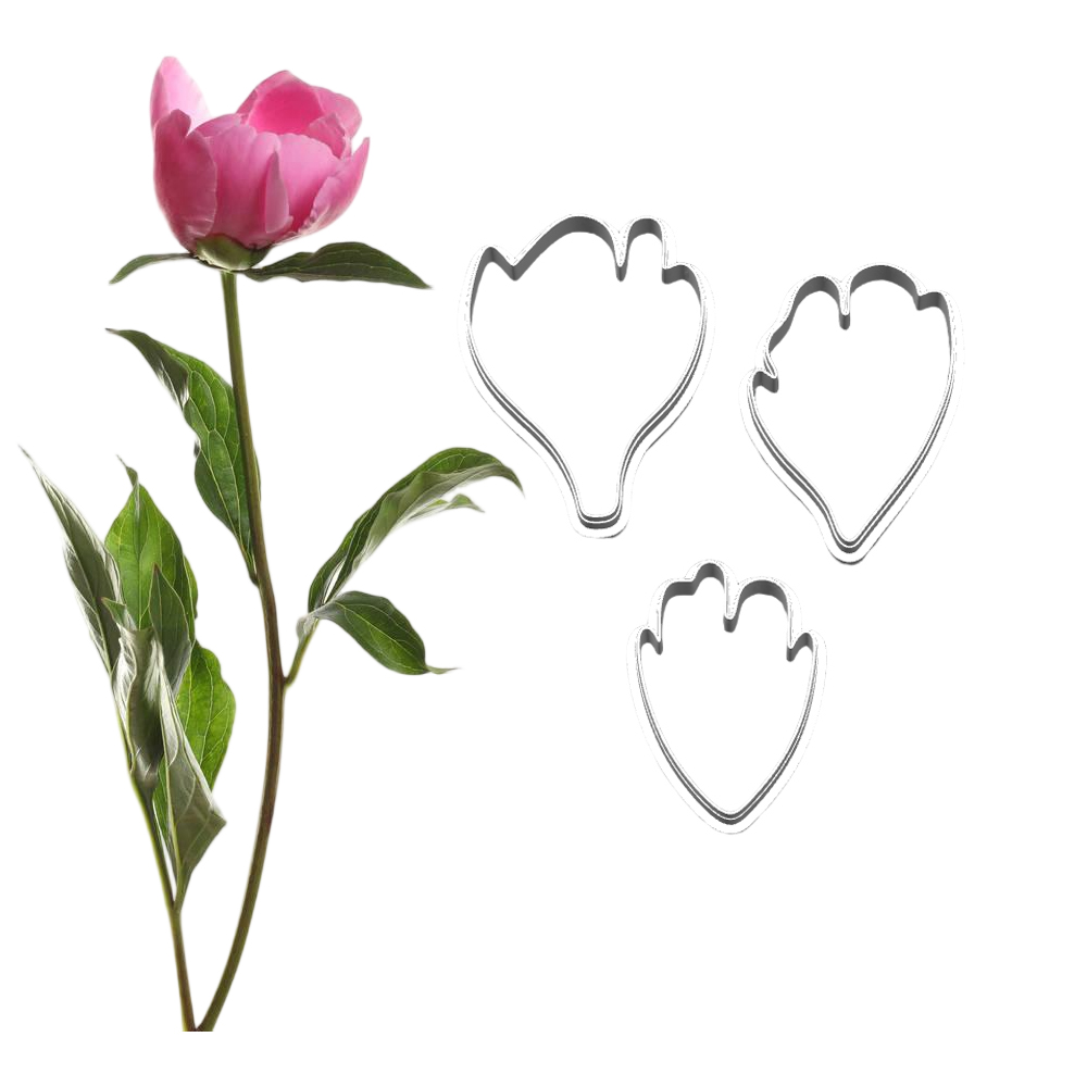 New Peony Silicone Molds&Cutte - Art Craft Picture ulasan dan harga