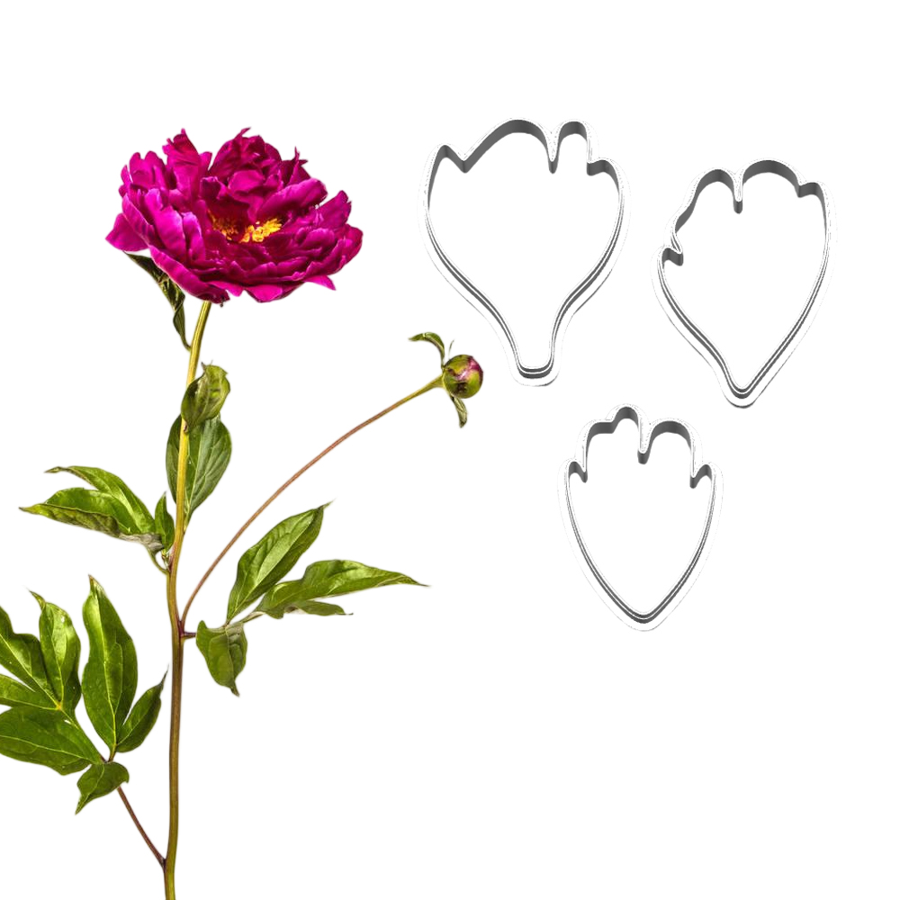 New Peony Silicone Molds&Cutte - Art Craft Picture ulasan dan harga