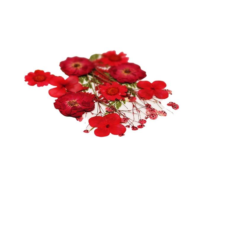 Real Natural Pressed Dried Pla - The Art And Craft Of Jewelry ulasan dan harga