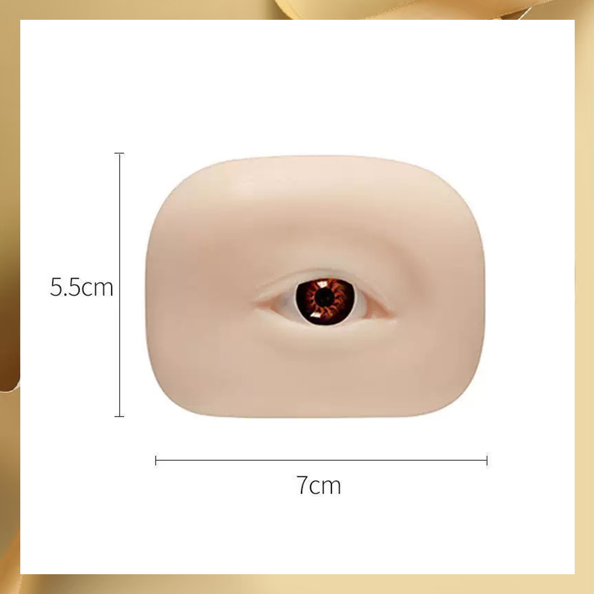 3D False Eyelash Mannequin Fla - Art Craft Eyes ulasan dan harga