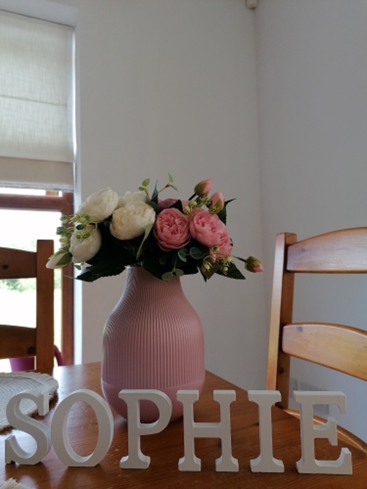 1pc 8CM White Wooden Letter En - Letter S Art Craft ulasan dan harga